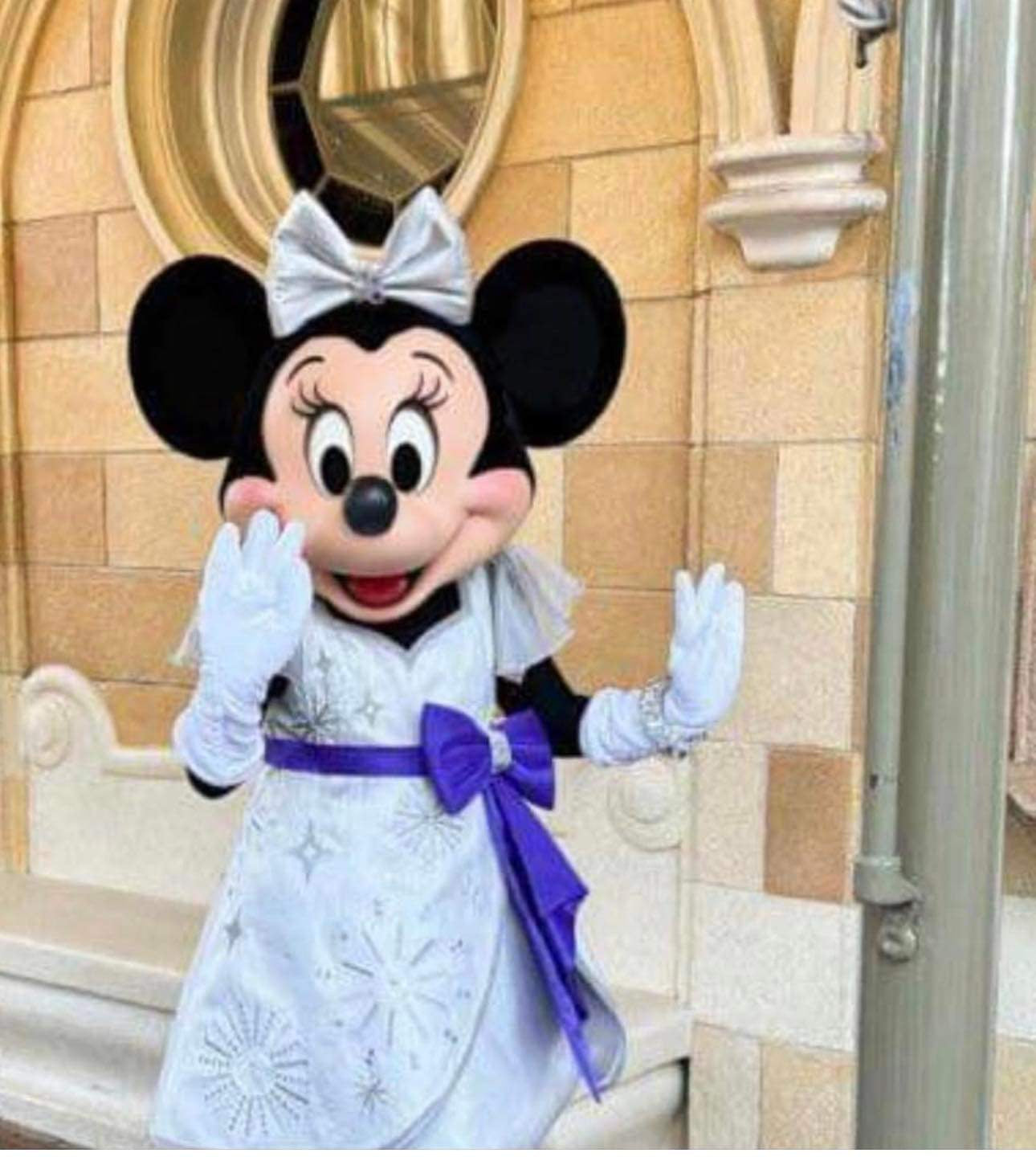 Minnie’s Dress